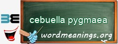 WordMeaning blackboard for cebuella pygmaea